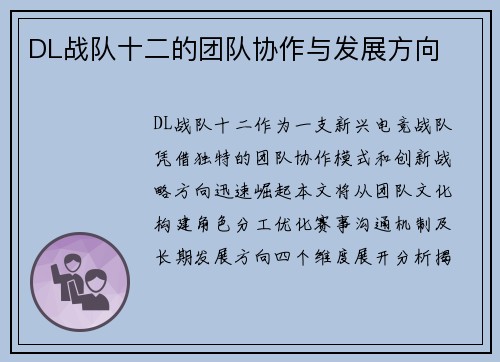DL战队十二的团队协作与发展方向